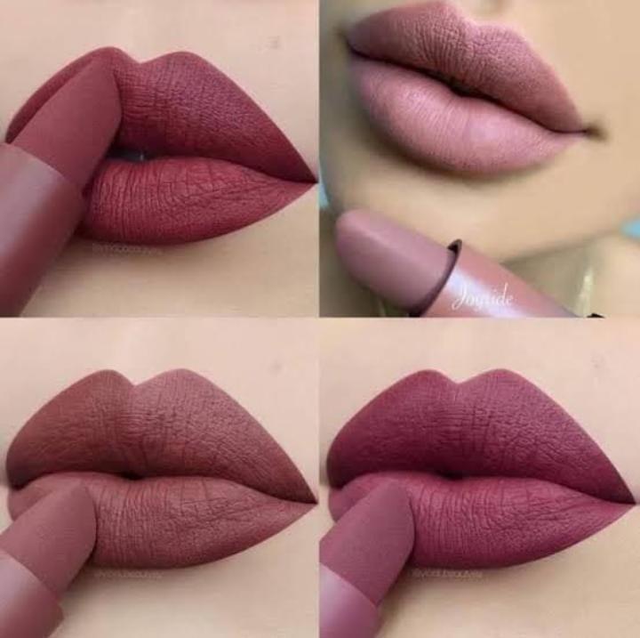 Matte Lipstick Set of 6 Nude Shades Long Lasting